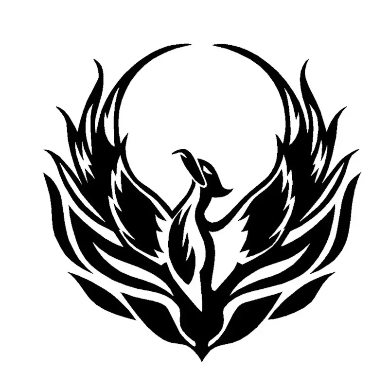 Alev Ateş Phoenix Serin Araba  - Car Accessories Phoenix incelemesi ve fiyatı