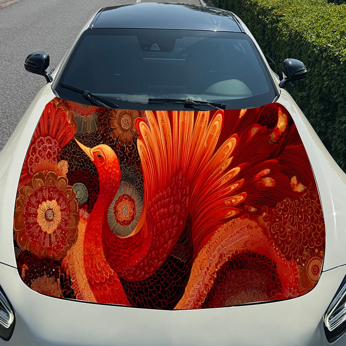 Serin Kırmızı Phoenix Araba Ka - Car Accessories Phoenix incelemesi ve fiyatı